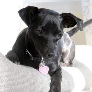 Meet your Posher, Alexandra